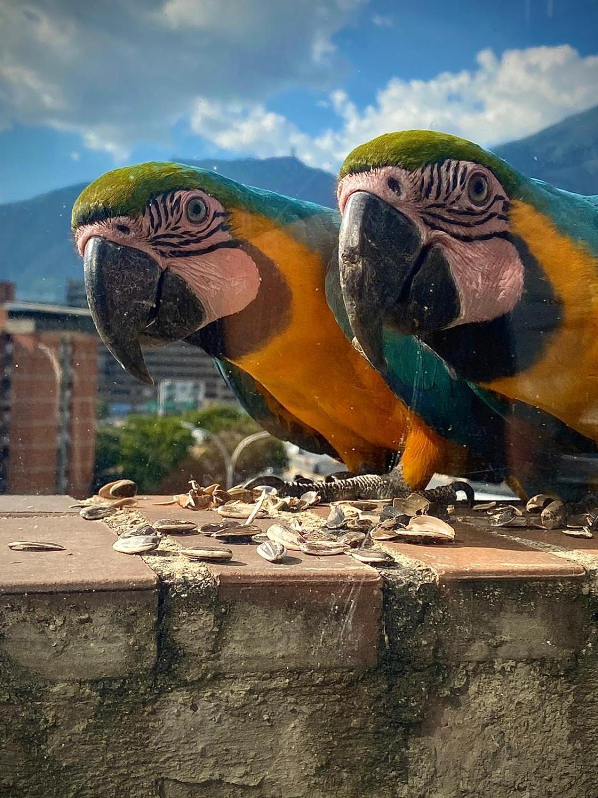 Ololo Caracas B&B Zewnętrze zdjęcie